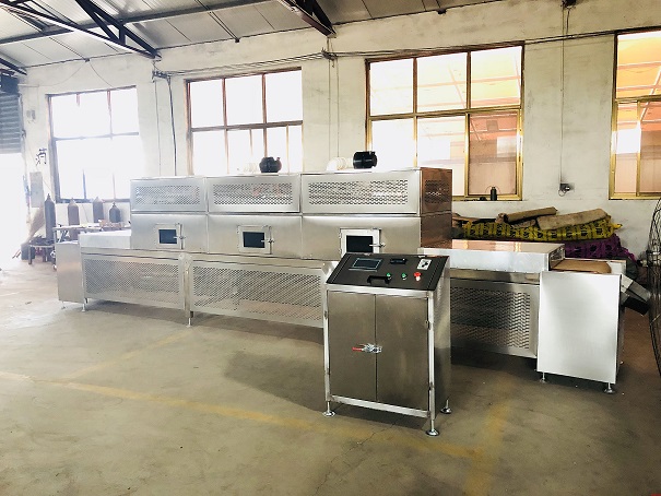 Tunnel type microwave drying equipment